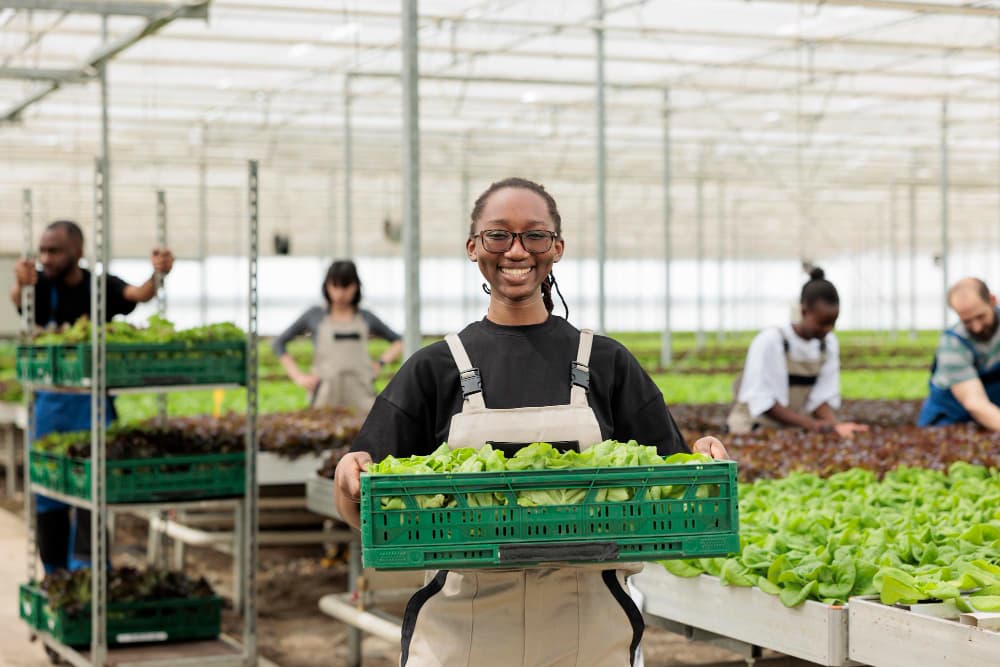 Sustainability Focus