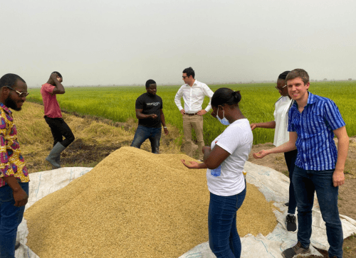 Restoring Hope for Rice Farmers in Asutsuare 